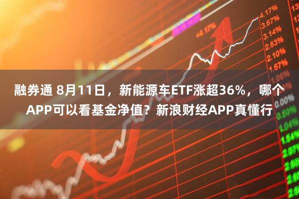 融券通 8月11日，新能源车ETF涨超36%，哪个APP可以看基金净值？新浪财经APP真懂行
