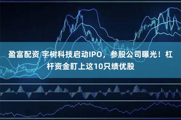 盈富配资 宇树科技启动IPO，参股公司曝光！杠杆资金盯上这10只绩优股