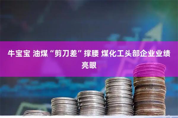 牛宝宝 油煤“剪刀差”撑腰 煤化工头部企业业绩亮眼